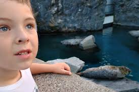 Fundraiser by Danielle Mercure : Help Oliver, a Bright Autistic 6-Year-Old,  Thrive