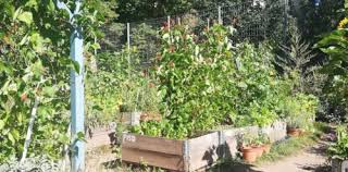 Wieso Mich Das Himmelbeet An Garten Eden Erinnert Weddingweiser