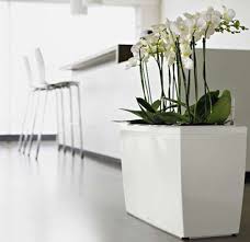 / con i portavasi da interno del nostro assortimento puoi valorizzare le tue piante e dare un tocco di stile in più alla tua casa. Vasi E Fioriere Da Interno Foto Design Mag