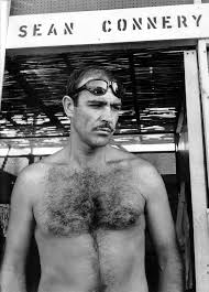 He was the first actor to portray fictional british secret agent james bond on film, starring in seve. Sean Connery Annex