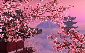 You can also upload and share your favorite sakura desktop hd wallpapers. Aesthetic Computer Sakura Wallpapers Wallpaper Cave