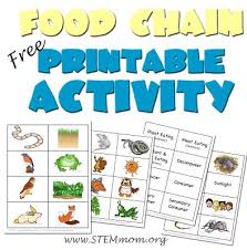 A combination of food chains that integrate to form a network | meaning, pronunciation, translations and examples. Please Write My Paper Me Essay On Food Chain And Food Web