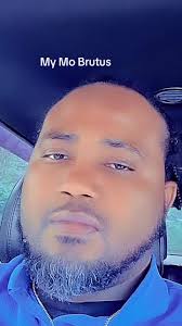 Jenny Willems Lingen