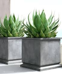 Contemporary Outdoor Plants For Pots Rhs Estate Zinc Footed Plantersrecalling Pots From English And Belgian Estate Gardens These St Tuin Planten Ideeen Planten
