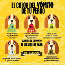 Pin De Fabi Sugey Hernandez En Q Tiernos Alergias Reflujo Alimentos