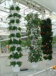 Hydroponics Paul S Hydroponic And Nft Growing Blog Vertical Hydroponics Vertical Garden Vertical Vegetable Gardens