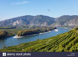 Wikipedia portal niederösterreich niederösterreich betreffende artikel in der wikipedia im moment gibts ja noch nicht viel, aber das wenige ist den kategorien der vier viertel. Achleiten Weinberge In Der Nahe Weissenkirchen Donau Auen Venedigau Wachau Waldviertel Wald Viertel Niederosterreich Osterreich Stockfotografie Alamy