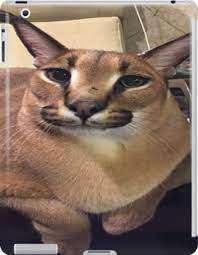 Floppa Cute Meme Ipad Snap Case By Chantal15 In 2021 Funny Animal Pictures Cat Memes Animal Pictures