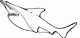 Select from 35970 printable crafts of cartoons, nature, animals, bible and many more. Free Printable Shark Coloring Pages For Kids