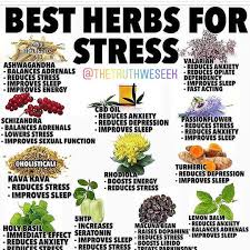 Plant Conscious Energy On Instagram Herbs That Help Eliminate Stress Great Post Thetruthweseek Did You Herbalism Herbs For Health Healing Food