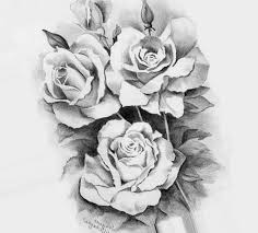 تأثير ماء الورد على بشرة الوجه. Ø±Ø³Ù… ÙˆØ±Ø¯ Ø¬Ù…ÙŠÙ„ Ù…Ù„ÙˆÙ† Makusia Images