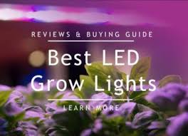 Getting Started With Aquaponics Cycling Your Fish Tank Step By Step Guide In 2020 Led Grow Lights Hydroponic Growing Hydroponics
