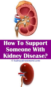 Kidney Disease Quotes Organ Donation Kidney Disease Recipes Kidney Disease Diet Polycystic Kidney Disease