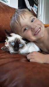 7:31 Instagram < 6 Post Details Neighbor 4 minutes ago 3.2 away Missing  Black & white shitzu near Hancock Do you have information that can help?  CONTACT AUTHOR Lost and Found Pets