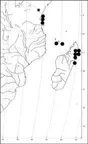 Image result for Scytopetalum pierreanum