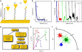 While fermi levels line up in equilibrium in the presence of an external potential. Unsupervised Vector Based Classification Of Single Molecule Charge Transport Data Nature Communications