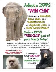 Performing Animal Welfare Society Paws Animal Welfare Society Adopt An Elephant Paw