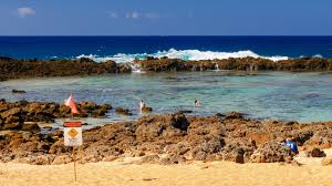 Maybe you would like to learn more about one of these? Our Favorite Things To Do On O Ahu S North Shore Hawaii