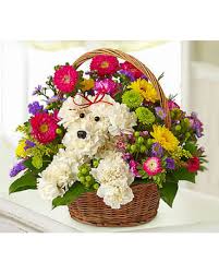 We did not find results for: Flower Doggy Basket In Fairfax Va Greensleeves Florist