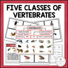 This list may not reflect recent changes (learn more). Vertebrate Coloring Worksheets Teaching Resources Tpt