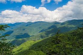 North Carolina Income Tax Calculator Smartasset