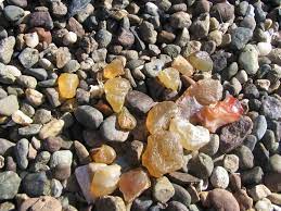 We Ve Found A Lot Of Agates At Westport Over The Years They Remind Me Of Some Fun Times Rock Hounding Agate Rocks Rock Identification