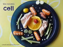 Animal sacrifice is the ritual killing and offering of an animal, usually as part of a religious ritual or to appease or maintain favour with a deity.animal sacrifices were common throughout europe and the ancient near east until the spread of christianity in late antiquity, and continue in some cultures or religions today. How To Create 3d Plant Cell And Animal Cell Models For Science Class Animal Cell Cell Model Animal Cells Model