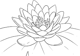By best coloring pagesjanuary 4th 2016. Lotus Flower Coloring Pages Coloring Home