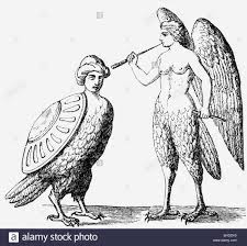 We did not find results for: Stock Photo Harpies Greek Mythical Creatures Half Woman Half Bird Wood Engraving 19t Greek Mythical Creatures Mythical Creatures Mythological Creatures