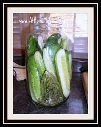 If you are a claussen or dill pickle fan in general you will love these pickles . Best Dill Pickles Ever Just Like Clausen Easy No Canning Pickling Recipes Dill Pickle Homemade Pickles Dill