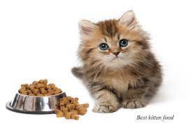Would You Like To Know What Is The Best Kitten Food In This Blog You Will Learn When To Start Feeding Your Kitten An Kitten Food Kitten Formula Wet Cat Food