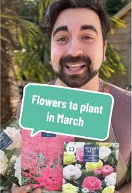Essential Flowers to Plant in March for Beginners