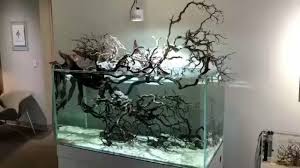 Aquarium Goals On Instagram Beautiful Tank Wood Species Is Manzanita From The Legendary Sir Thomas Barr Of Aquarium Aquascape Aquarium Aquarium Design