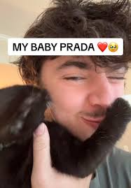 THE CUTENESS AGGRESSION I GET 😩 #cat #catsoftiktok #cattok