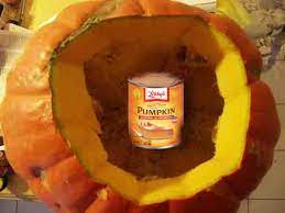Should You Use Canned Pumpkin For Diarrhea In Dogs Superb Dog
