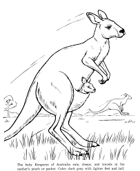 In addition, the kid is carried away and does not bother his mother while she does her business. Kangaroo Pictures For Kids Coloring Home