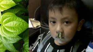 Kami nak share video ni dan sedikit ilmu tuk sis. Darah Mimisan Bisa Berhenti Pakai Daun Sirih Begini Penjelasan Dokter Spesialis Tht Rsud Dr Soetomo Surya