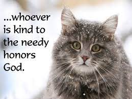 17 Funny Short Cute Cat Quotes With Pictures Cute Cat Quotes Cats Cats And Kittens