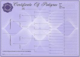 pedigree certificates in lilac pedigree dog certificates