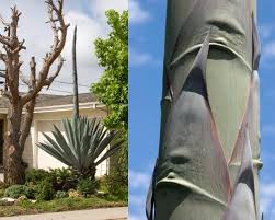 During the 17th century, more and more people began to realise that they could ___ their scientific ideas by designing a relevant _____and seeing what happened. Something Is Happening Anders Tomlinsonanders Tomlinson