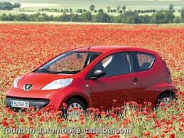 Image result for Rouge Scarlet 2011 Citroen