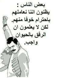 pin by marwa kareem on arabic quotes sarcastic words funny quotes funny arabic quotes