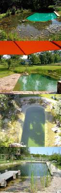 Everything Is Better When Its Natrual Natural Pool Natural Swimming Pools Swimming Pools