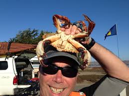 What's the best bait for crabs. We're going soon never been before