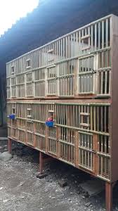 Membuat kandang koloni lovebird berikut adalah video proses pembuatan kandang oke bro sekian lama ga upload, karena lagi ngerjain kandang koloni lovebird depan rumah kandang koloni lovebird cara membuat kandang koloni lovebird dari bahan galvalum. Pin On Yang Saya Simpan