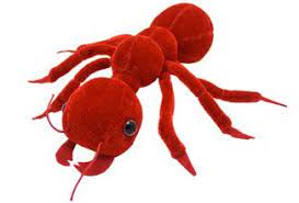Giant Microbes Red Ant Solenopsis Invicta You Really Don T Want These Ants In Your Pants Giant Microbes Ants Red Ant