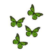 Freetoedit Green Butterflies Aesthetic Toxic Billieeilish Remixed From Annekedickson Dark Green Aesthetic Green Aesthetic Butterfly Wallpaper Iphone