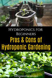 Hydroponics Gardening For Beginners Pros Cons Indoor Hydroponic Gardening Hydroponic Vegetables Gardening For Beginners