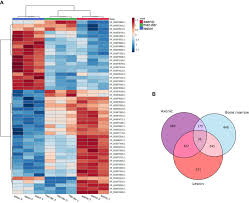 Image result for bioinformatics heatmap