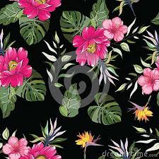 We did not find results for: Seamless Pattern Tropical Pink Flower With Leaves Black Background Design Black Background Design Seamless Patterns Pink Flowers